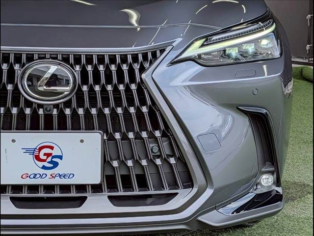 LEXUS NX350h AWD