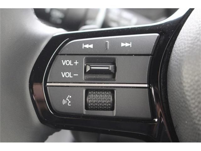 STEPWAGON e:HEV SPADA