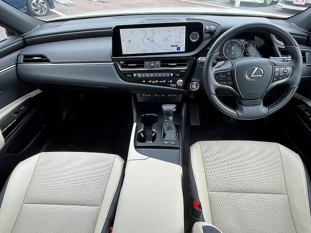 LEXUS ES300h
