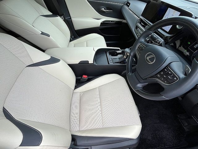 LEXUS ES300h