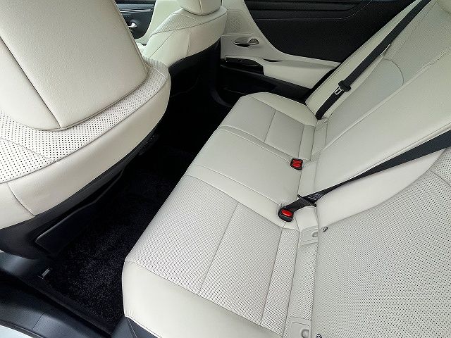 LEXUS ES300h