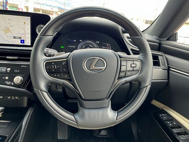 LEXUS ES300h