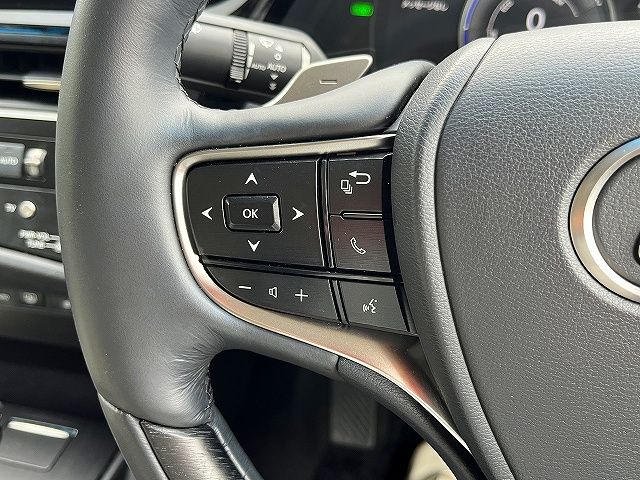 LEXUS ES300h