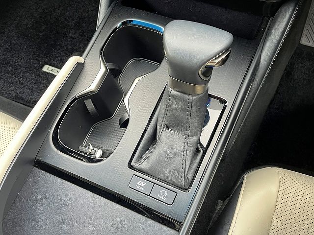 LEXUS ES300h