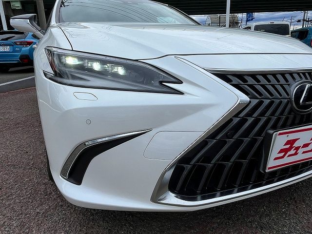 LEXUS ES300h