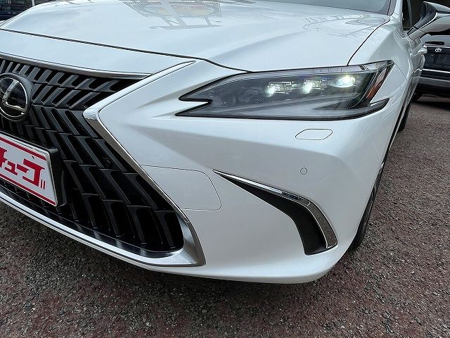 LEXUS ES300h