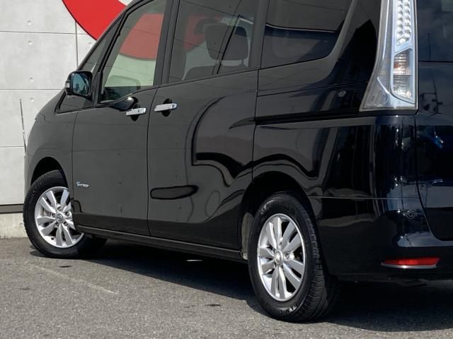 SERENA  S-HYBRID