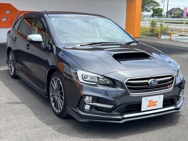 LEVORG