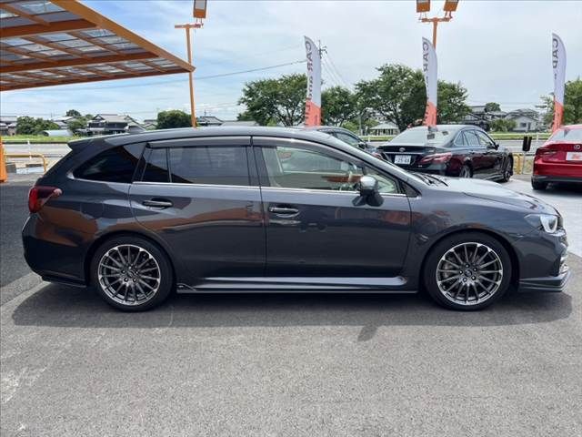 LEVORG