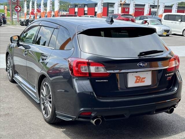 LEVORG