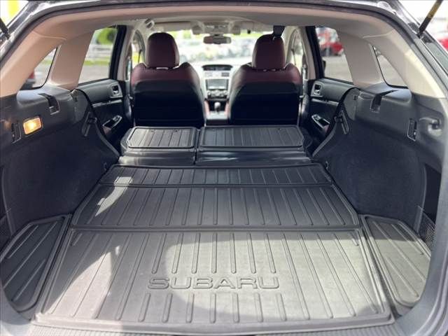 LEVORG