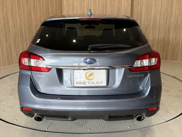 LEVORG