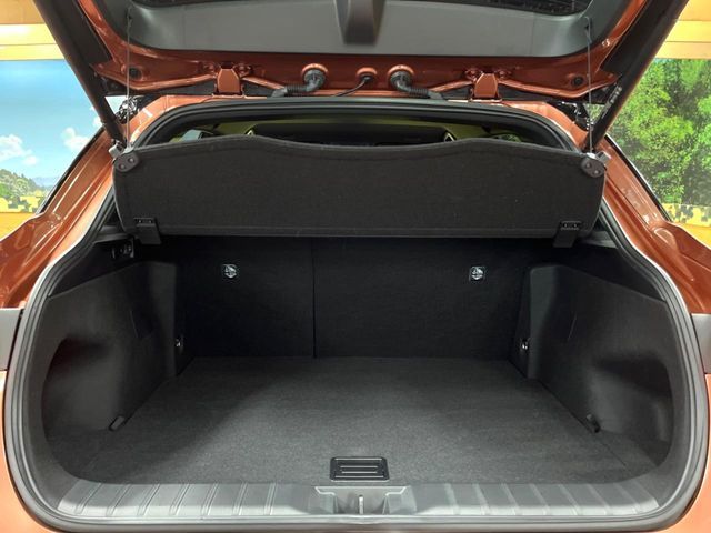 LEXUS LBX