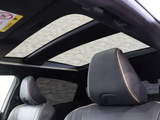 CROWN SPORT