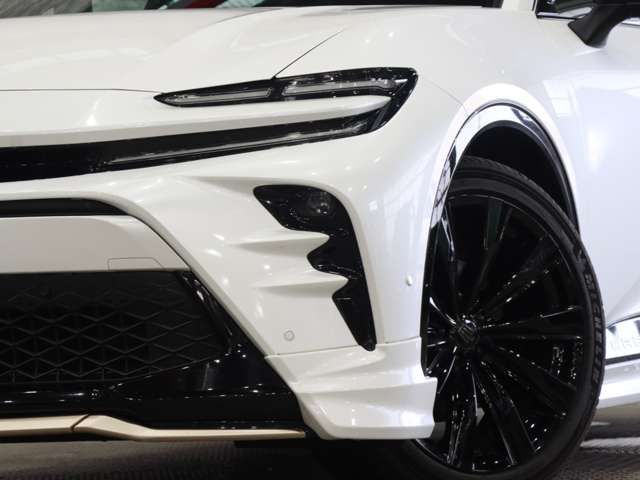 CROWN SPORT