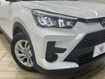 RAIZE HYBRID