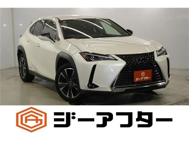 LEXUS UX250h