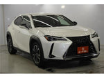 LEXUS UX250h