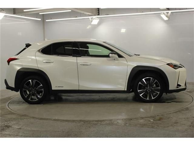 LEXUS UX250h