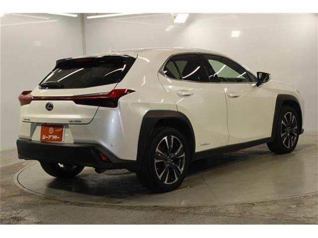 LEXUS UX250h