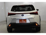 LEXUS UX250h
