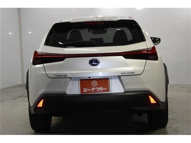 LEXUS UX250h