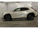 LEXUS UX250h