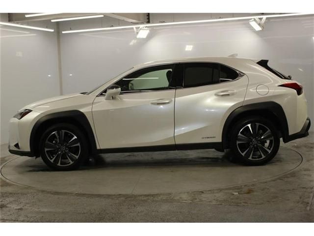 LEXUS UX250h