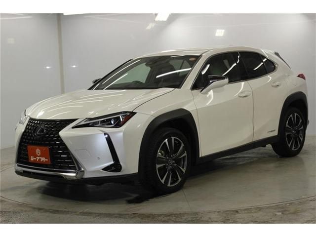 LEXUS UX250h