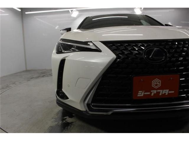 LEXUS UX250h