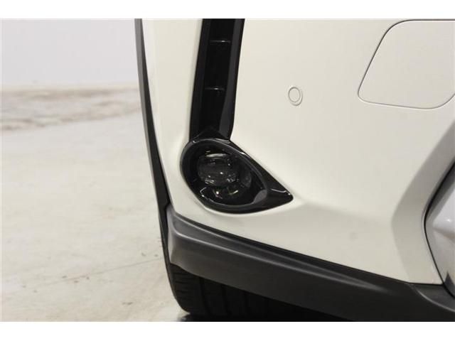 LEXUS UX250h