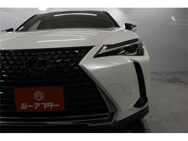 LEXUS UX250h