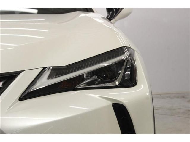 LEXUS UX250h