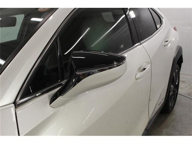 LEXUS UX250h