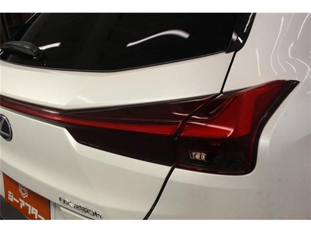 LEXUS UX250h