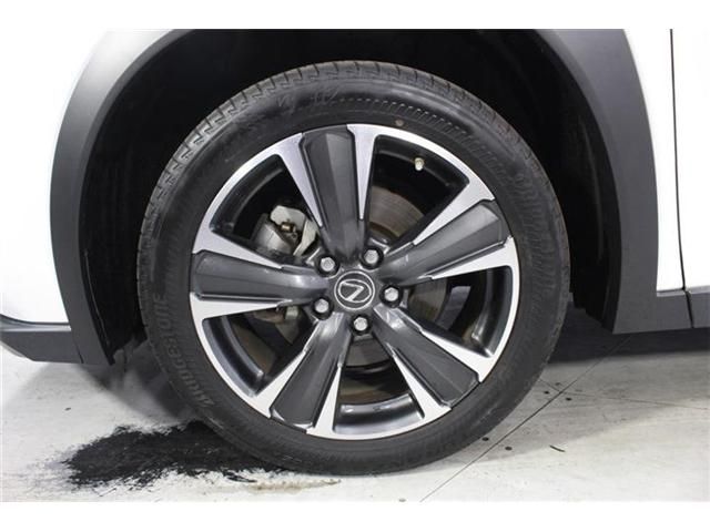 LEXUS UX250h