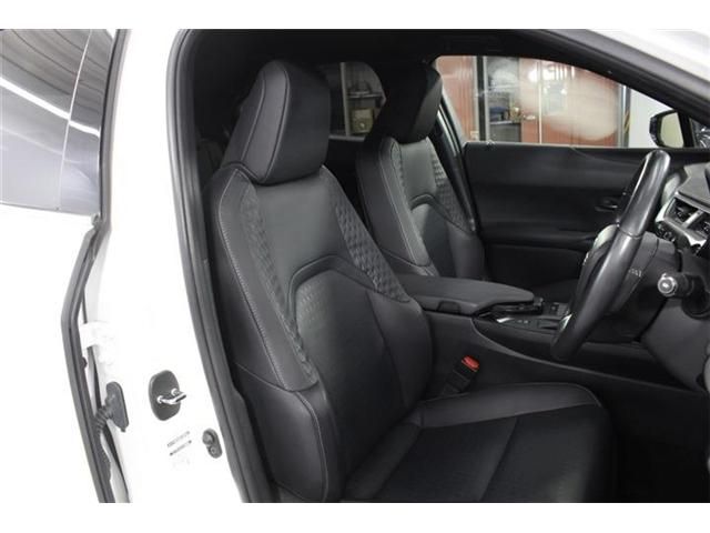 LEXUS UX250h