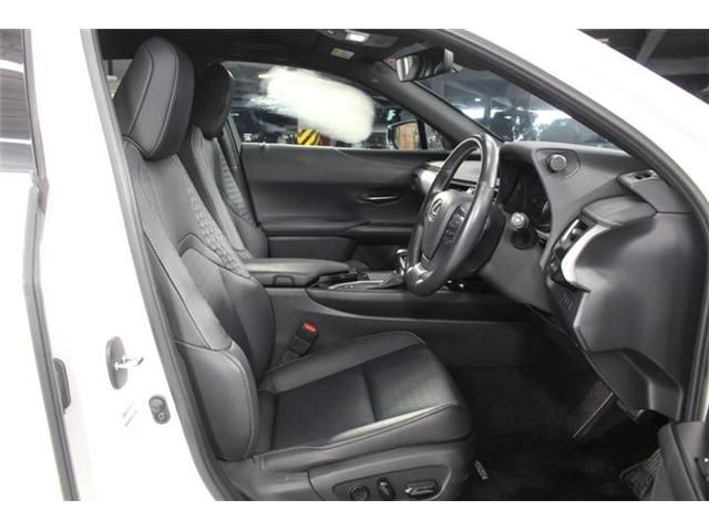 LEXUS UX250h
