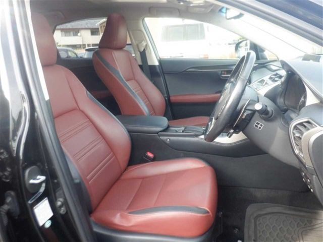 LEXUS NX200t