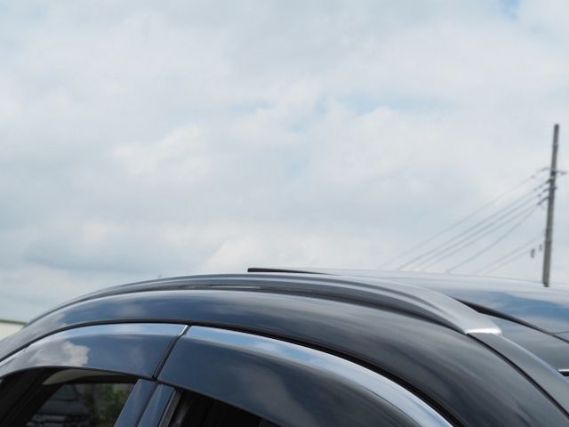 LEXUS RX450h+