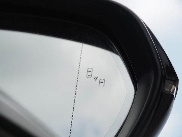 LEXUS RX450h+
