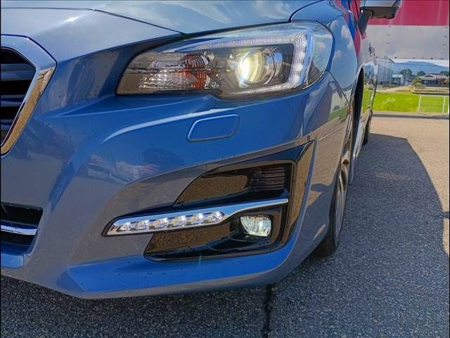 LEVORG