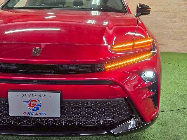 CROWN SPORT