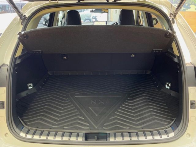 LEXUS NX300h