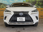 LEXUS NX300h