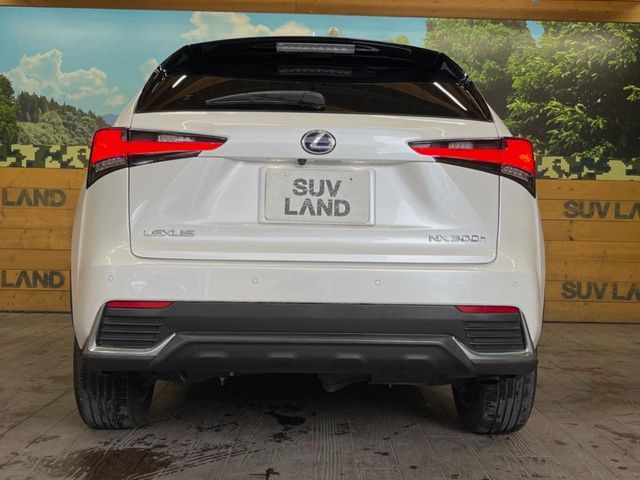 LEXUS NX300h