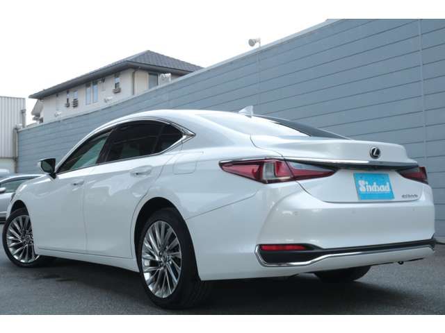 LEXUS ES300h