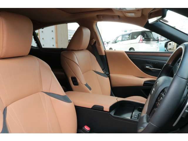 LEXUS ES300h
