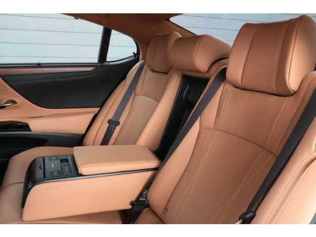 LEXUS ES300h