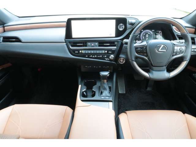LEXUS ES300h